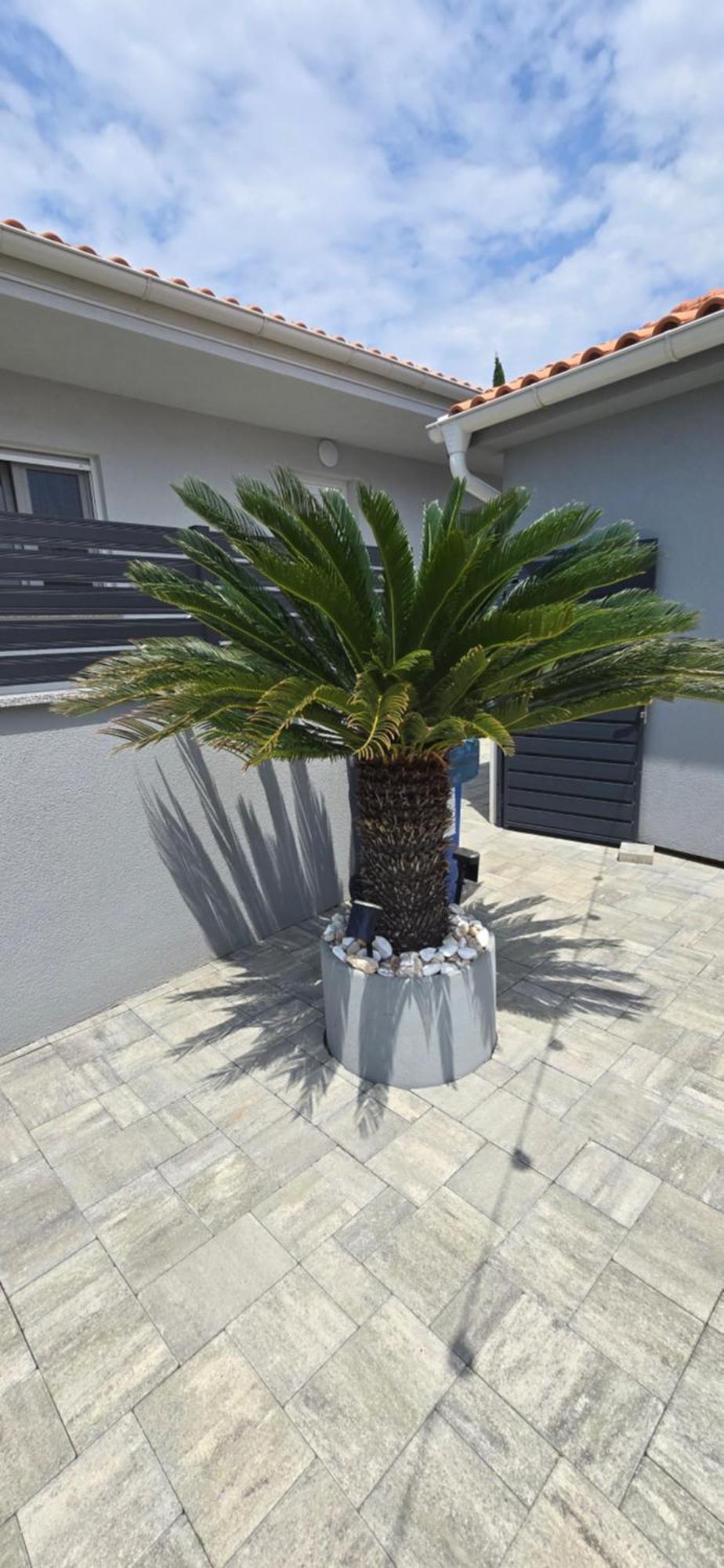 House Vallis Aurea Povile Dış mekan fotoğraf